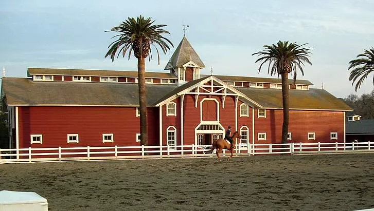 Red horse barn and white fencing framed by palm trees