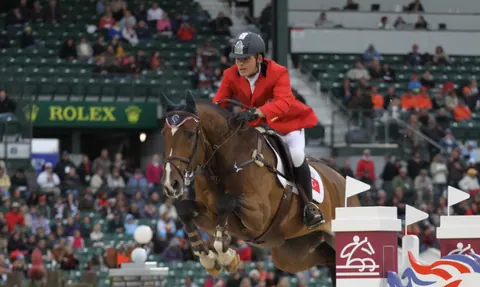 Horse Appraisal FAQ
