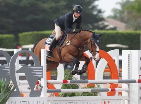 Bay jumper over an orange and white oxer